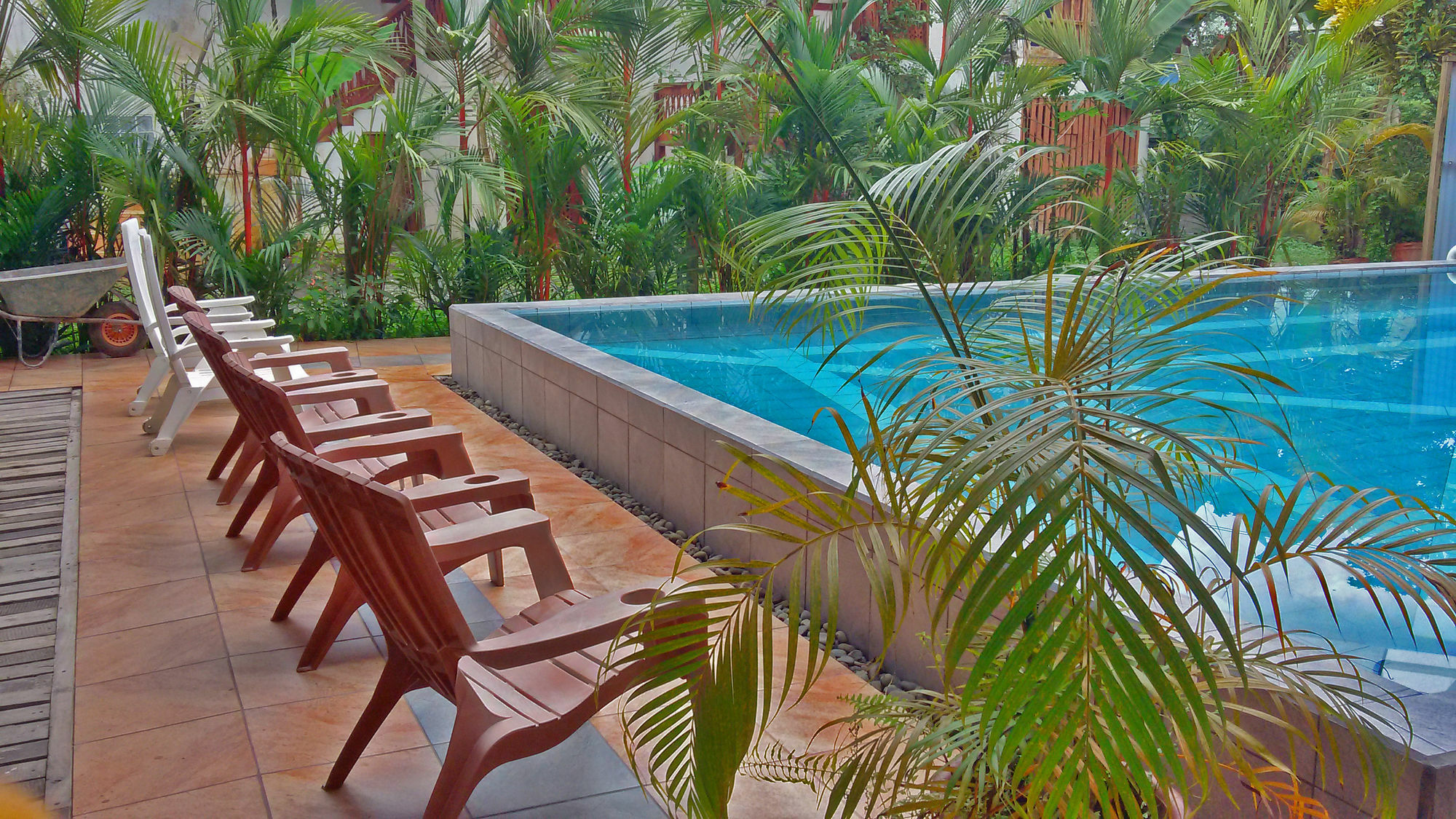 Lizard King Resort Puerto Viejo de Talamanca 外观 照片