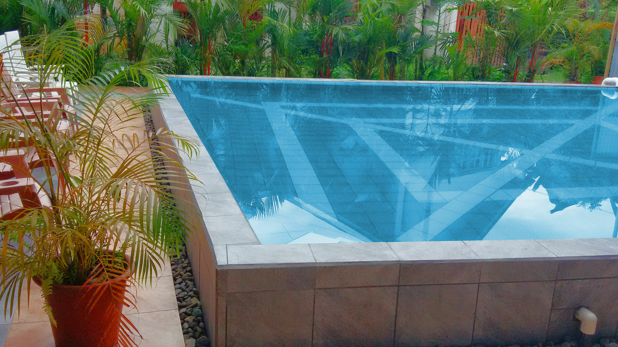 Lizard King Resort Puerto Viejo de Talamanca 外观 照片