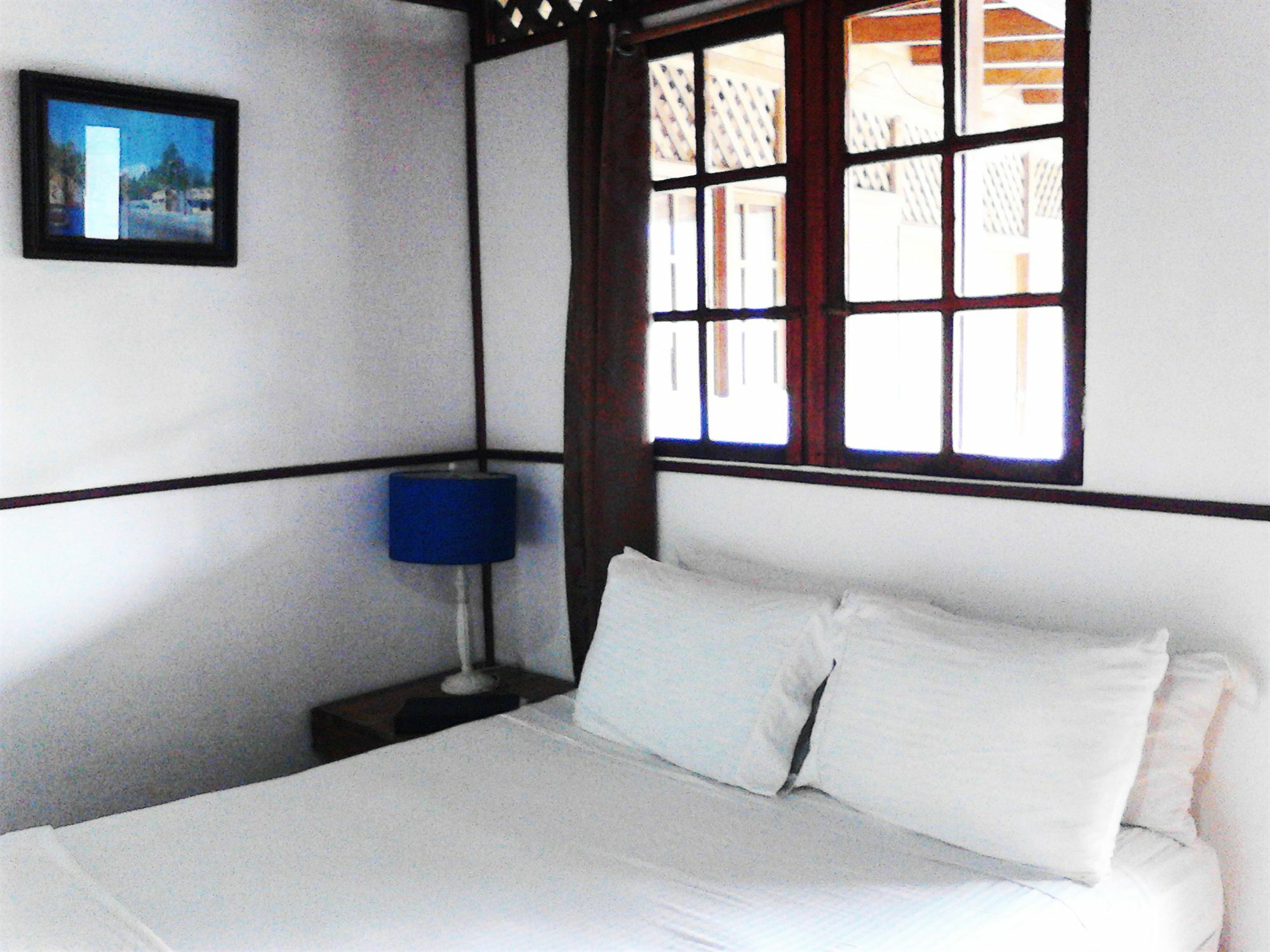 Lizard King Resort Puerto Viejo de Talamanca 外观 照片